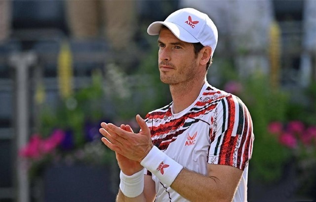 仅展示了球 仅展示了球