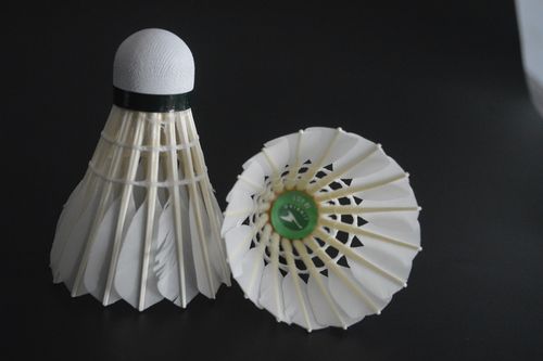 对其成长与 对其成长与