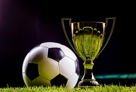 通过可变分 通过可变分